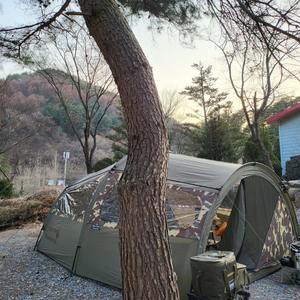 오르투스t 1회 사용 텐트