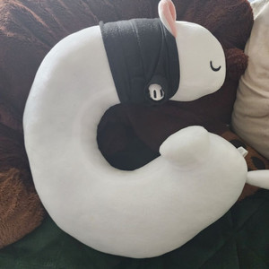 화산귀환 백아 목베개