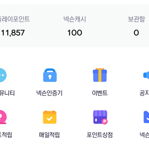 넥슨플레이포인트 11000