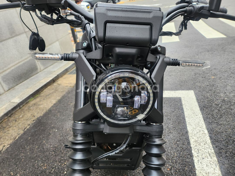 울프125--6