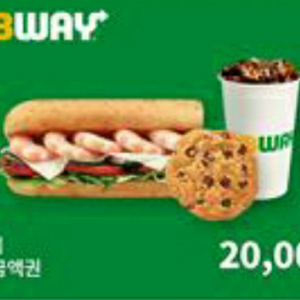 써브웨이 2만원권(분할사용가