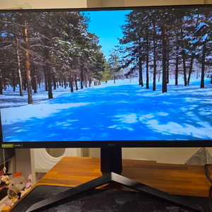 LG울트라기어 240HZ 27인치 IPS모니터