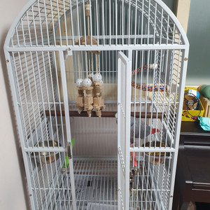 앵무새 새장