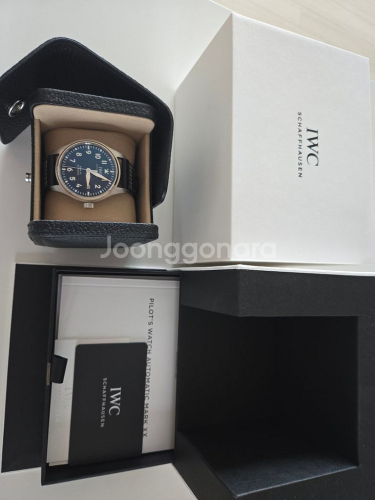 IWC 파일럿 워치 마크 XX 청판--0