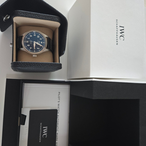 IWC 파일럿 워치 마크 XX 청판