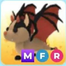 입양하세요 메박