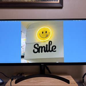 LG 34WL50S 울트라 와이드 모니터