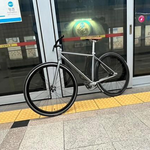 경륜픽시