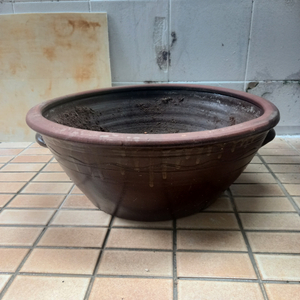 화분 큰거