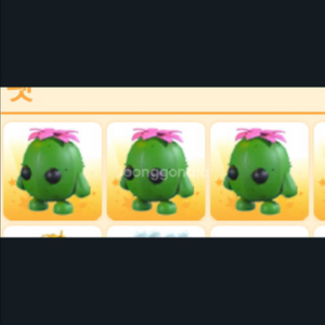 입양하세요 선인장 펫