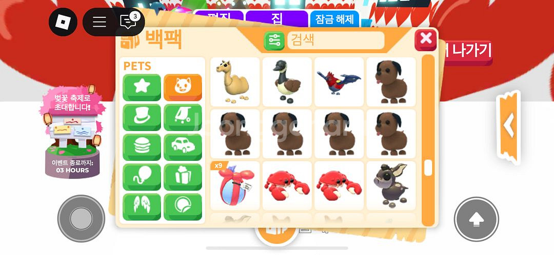 입양하세요 다양한펫 팔아여--4