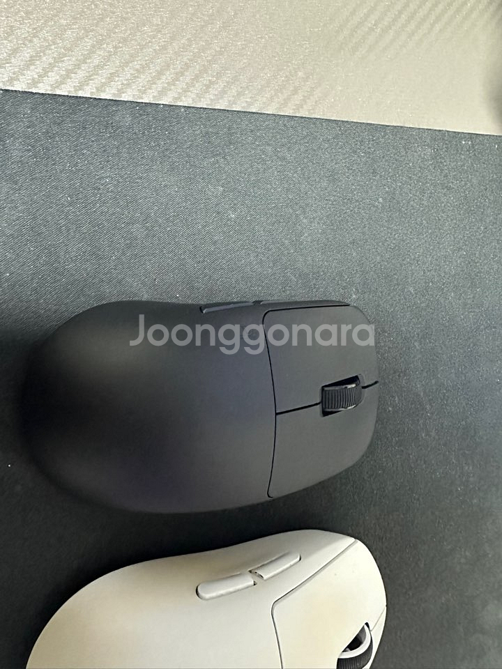 텐즈 시그니처 마우스--1