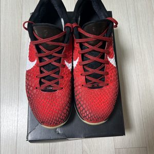 코비6올스타(280)