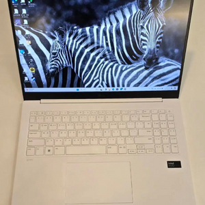 LG그램PRO 16인치 16GB 2TB WIN11