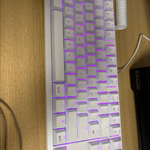 체리 G80-3000s TKL 청축 키보드