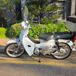 23년 수퍼커브 팔아요