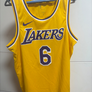(NBA 팬 강추!!)LA lakers 르브론 제임스