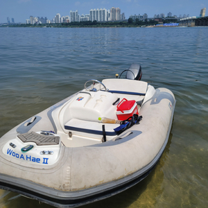 AVON SEASSPORT JET 32O+야마하15마력