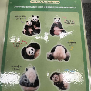 (구합니다.)푸바오 키링 구해요.