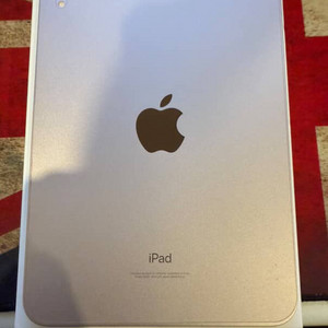 아이패드 미니6 256기가 스타라이트