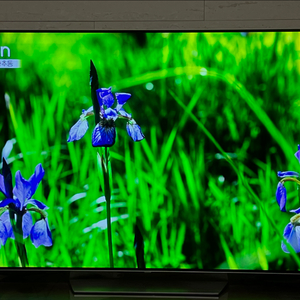 lg 올레드 65인치 65b7k