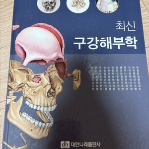 구강해부학 치아형태학