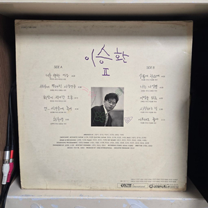 이승환 lp판