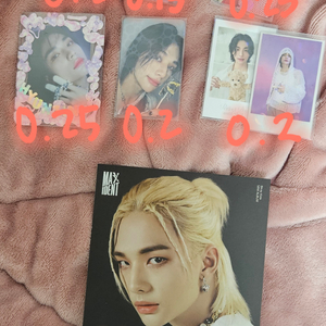 스트레이키즈 현진 포카 인형 양도