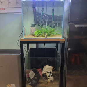 45큐브수조2개