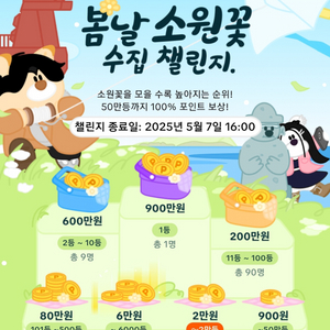 소원꽃 8명 판매합니다.