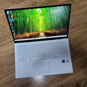 신제품급 LG그램 노트북 15ZD95Q i5 12세대