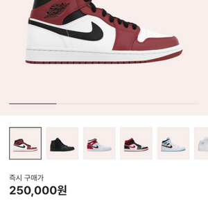 나이키 조던 미드 시카고 2020 265사이즈 팝니다