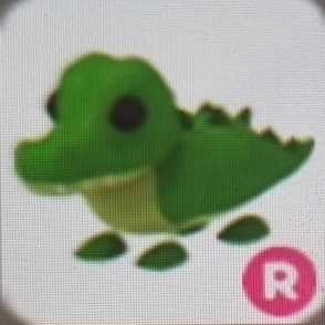 입양하세요 악어 팝니다