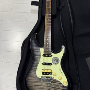 데임 스트랫 일렉기타 ST5 FM TBK 팝니다