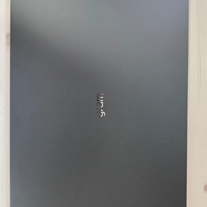 2025 LG그램 프로 인텔7 255h RTX4050
