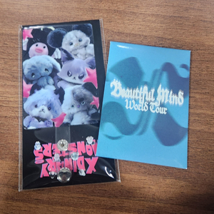 엑디즈 콘서트 2일차 입장 포카 세트 + 폰탭