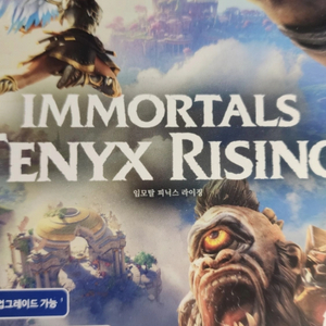 임모탈라이징
