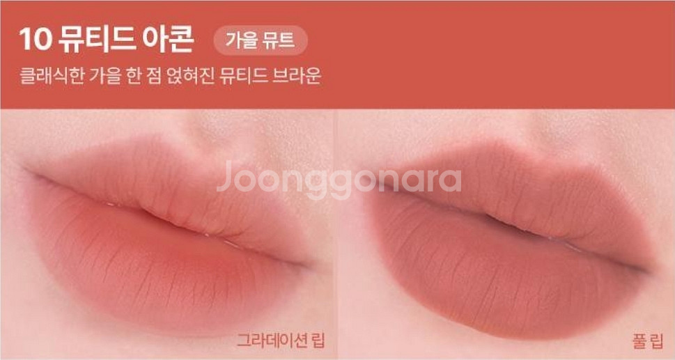 웨이크메이크 틴트 피그블룸 오션핑크 뮤티드아콘--4
