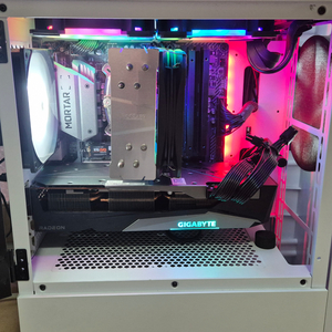 AMD 5600 반본체 판매