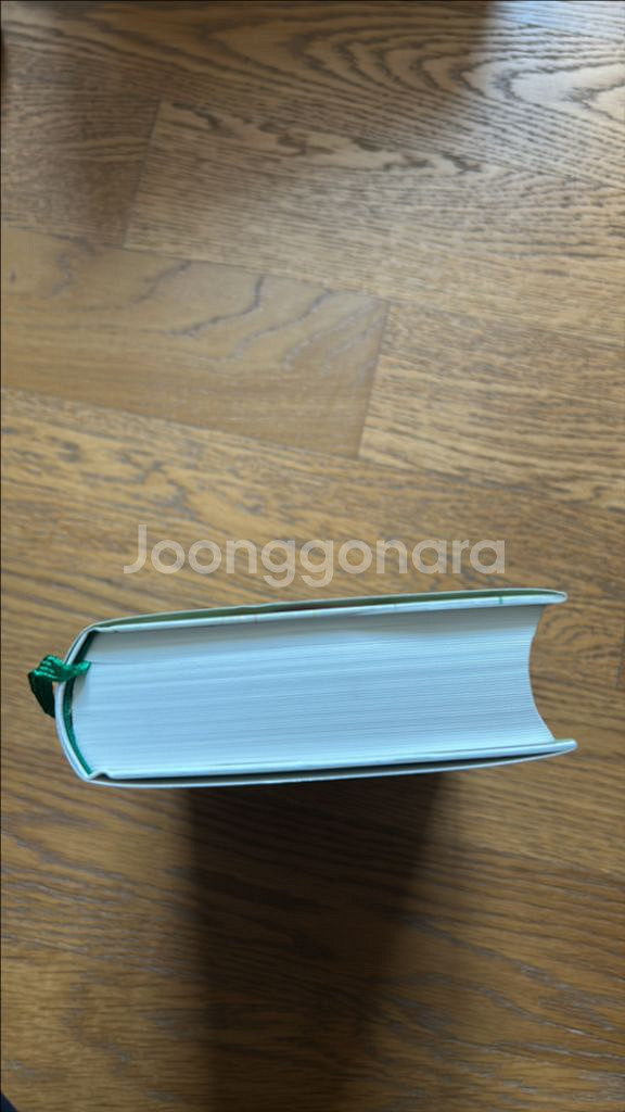 도시와 그 확실한 벽 무라카미 하루키--3