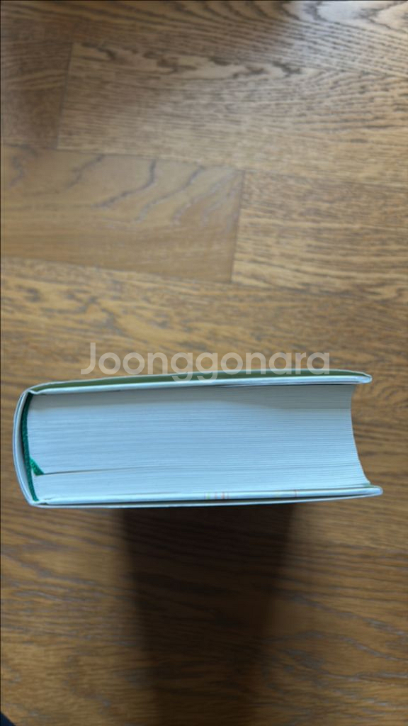 도시와 그 확실한 벽 무라카미 하루키--2