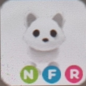 입양하세요 네온 북극여우 팝니다