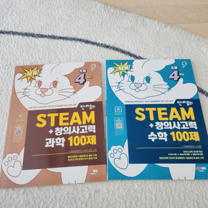 안쌤 steam 새책^^