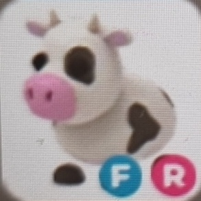 입양하세요 젖소 팝니다--0