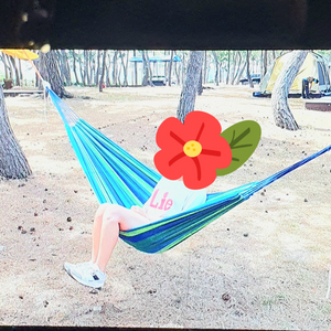 해먹