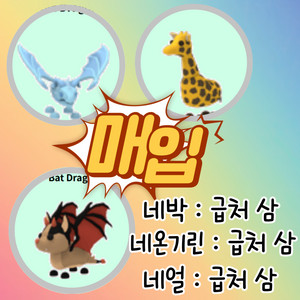 입양하세요 네온 고가펫 초신속 매입
