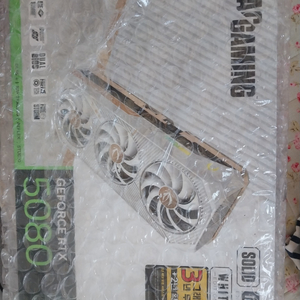 조텍 5080 solid white