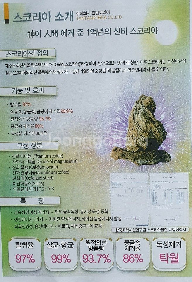 보궁--2
