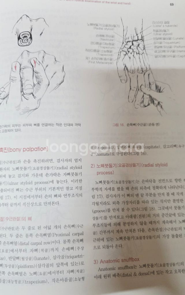 (한의학 교재)척추와 사지의 검진-근골격계 진단--4