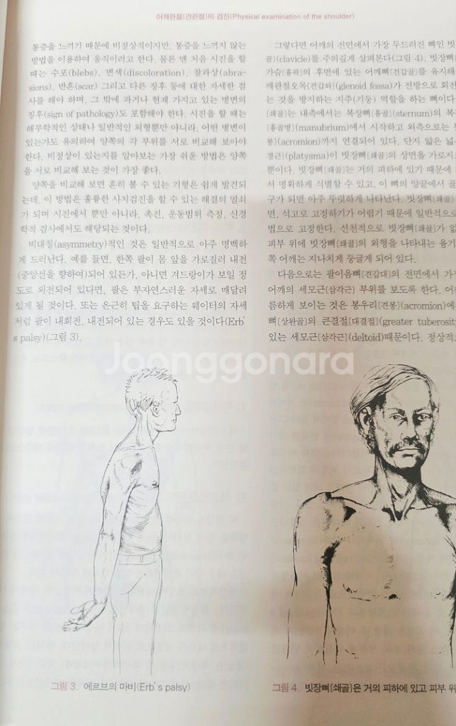 (한의학 교재)척추와 사지의 검진-근골격계 진단--3